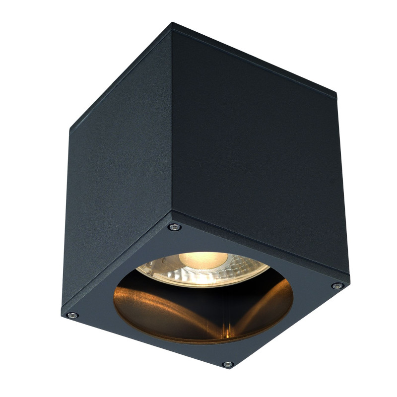 plafonnier BIG THEO OUT carré anthracite ES111 max 75W