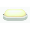 applique et plafonnier TERANG 2 ovale blanc 11W LED 3000K