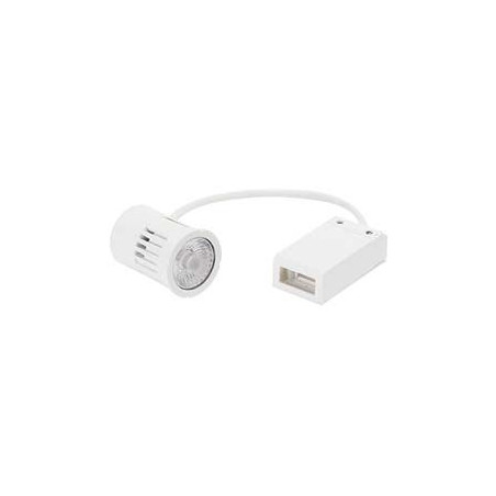 Module LED, fonction DIM-TO-WARM, QPAR51, 36°, 1800-2800K, 500lm