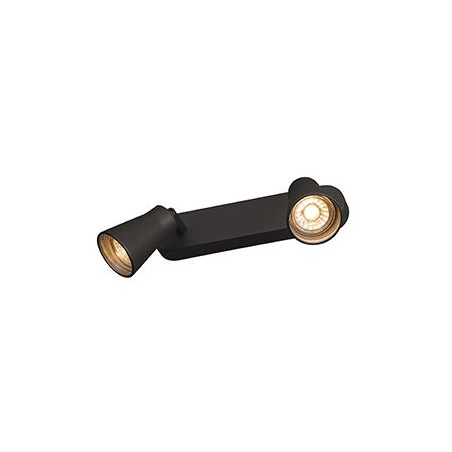 AVO DOUBLE, applique et plafonnier, double, QPAR51, noir, max. 2x50W