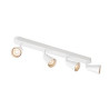 AVO QUAD, applique et plafonnier, quadruple, QPAR51, blanc, max. 4x50W
