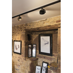 KALU TRACK, spot pour rail 1 allumage, intérieur, noir, LED, 13W, 3000K, adaptateur 1 all. inclus