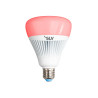 SLV Play, source LED, E27, G110, contrôlable RGBW