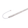 GRAZIA IP FLEXSTRIP, bandeau LED extérieur, 5 m, blanc, LED, 3000K, 700lm/m, IP54