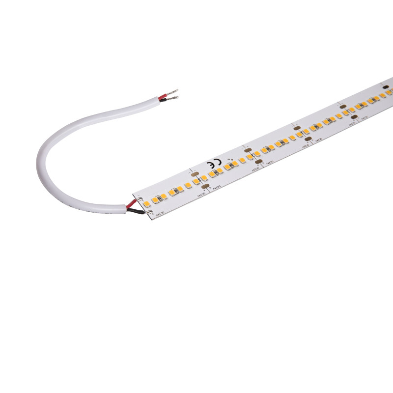 GRAZIA PRO MAX FLEXSTRIP, bandeau LED intérieur, 5 m, 20 mm, blanc, 3000K, 2500lm/m