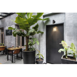 NUMINOS, plafonnier intérieur, 24°, noir, LED, 10,42W, 3000K, variable Triac