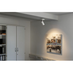 NUMINOS, plafonnier intérieur, 36°, blanc/noir, LED, 20,1W, 3000K, variable Triac