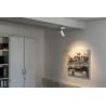 NUMINOS, plafonnier intérieur, 36°, blanc/noir, LED, 20,1W, 3000K, variable Triac