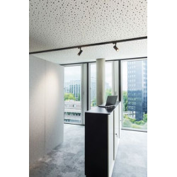 NUMINOS, spot pour rail 3 allumages, intérieur, 36°, noir, LED, 10,42W, 3000K, variable Triac