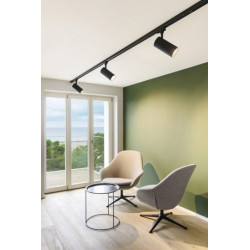 NUMINOS, spot pour rail 3 allumages, intérieur, 36°, noir, LED, 28W, 3000K, variable Dali