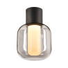 OVALISK, plafonnier extérieur, anthracite, LED, 7,5W, 3000/4000K, interrupteur CCT, IP65