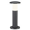Alpa mushroom, borne 40 cm, gris fonce