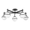 Hollis Lustre 5 Lumières