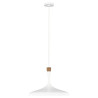 Suspension Darwin 1 lumière - Blanc mat