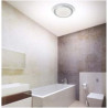 Chester LED Bathroom Flush  -  Acrylic & Silver Metal, IP44