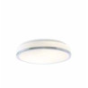 Cheese 2Lt Flush - Chrome Metal & White Glass