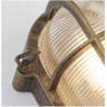 Bulkhead Oval Outdoor Light - Black Gold Metal & Clear Glass