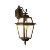 New Orleans Outdoor Downlight - Black Gold, Clear Glass,IP44