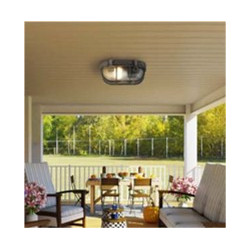 Bulkhead Oval Outdoor Wall/Ceiling Light - Black Silver