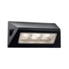 Peru LED Outdoor Wall Light  -  Black Metal & Glass, IP44