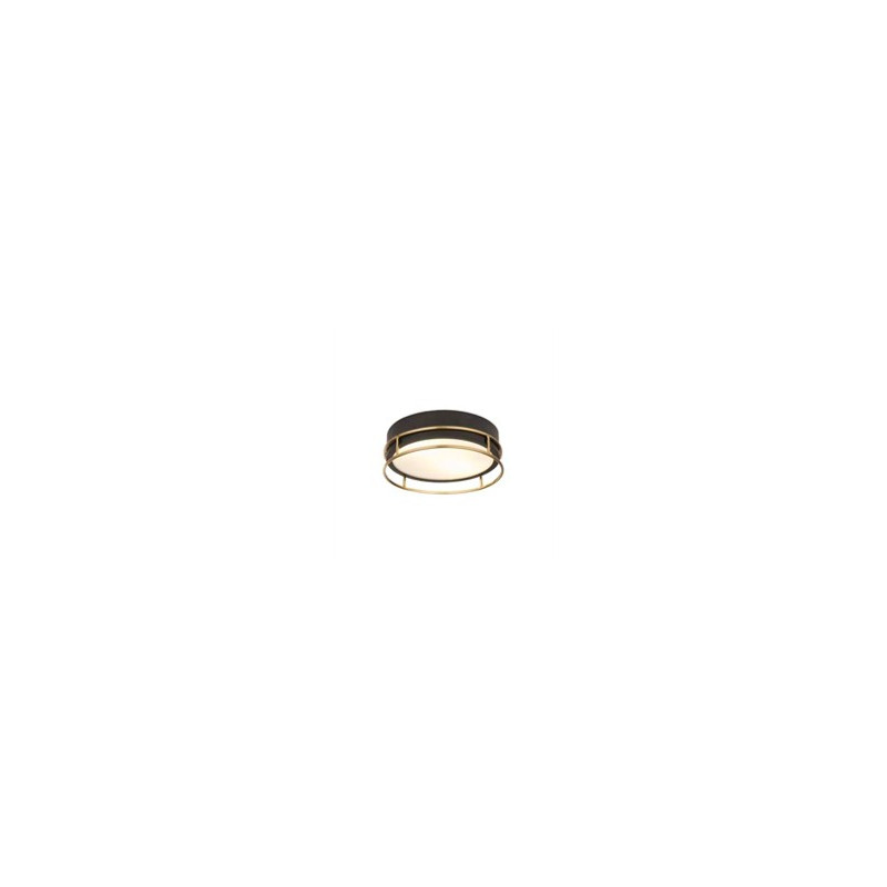 Phoenix 2Lt Flush - Black, Brass Metal & Frosted Glass