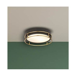 Phoenix 2Lt Flush - Black, Brass Metal & Frosted Glass