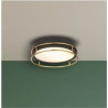 Phoenix 2Lt Flush - Black, Brass Metal & Frosted Glass