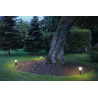 Alpa mushroom, borne 40 cm, gris fonce